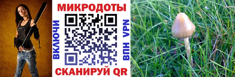 Галлюциногенные грибы мухоморы  Холмск 